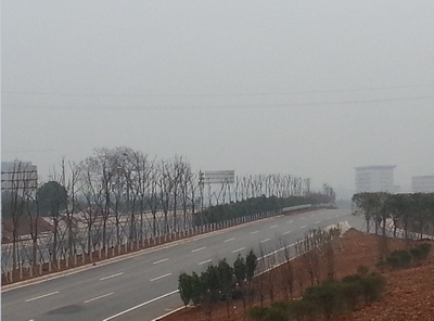 yl23455����(�й�)�ɷ����޹�˾