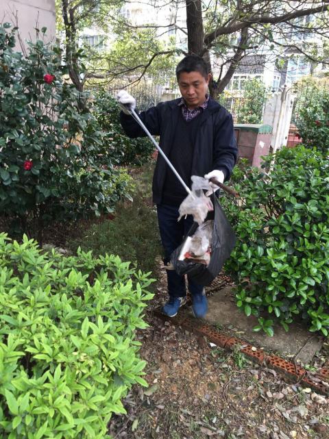 �����󺦡�Ԥ������������Э����������